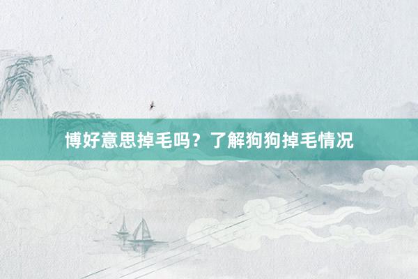 博好意思掉毛吗?了解狗狗掉毛情况
